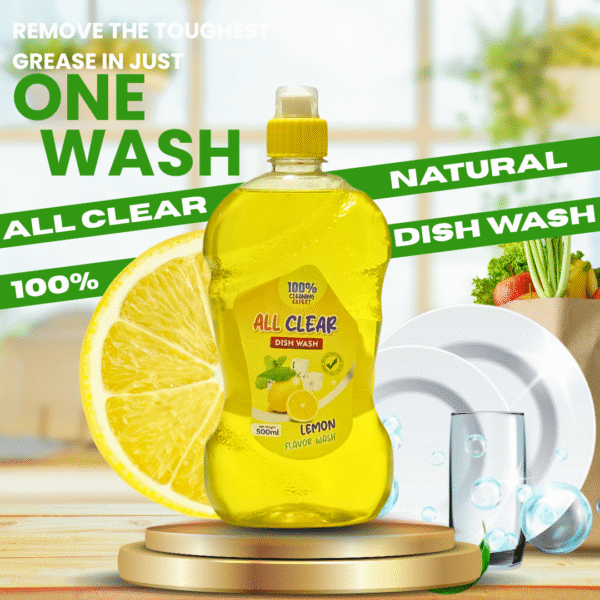 Dish Wash